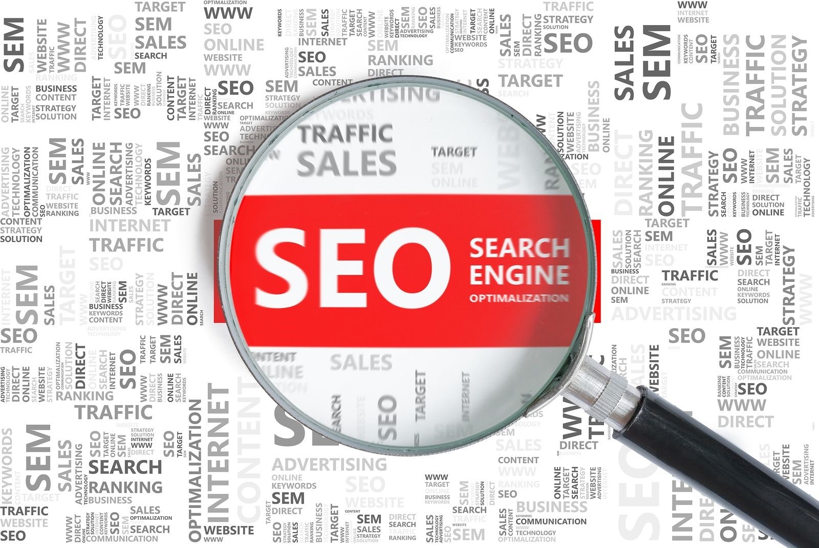 SEO Companies Can Help You Decide Which Search Engines to Focus On